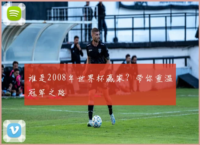 谁是2008年世界杯赢家?带你重温冠军之路
