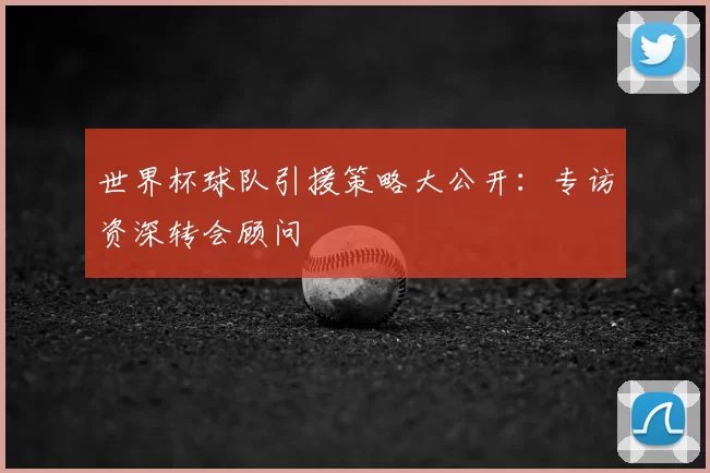 世界杯球队引援策略大公开:专访资深转会顾问