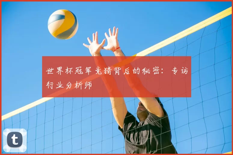 世界杯冠军竞猜背后的秘密:专访行业分析师