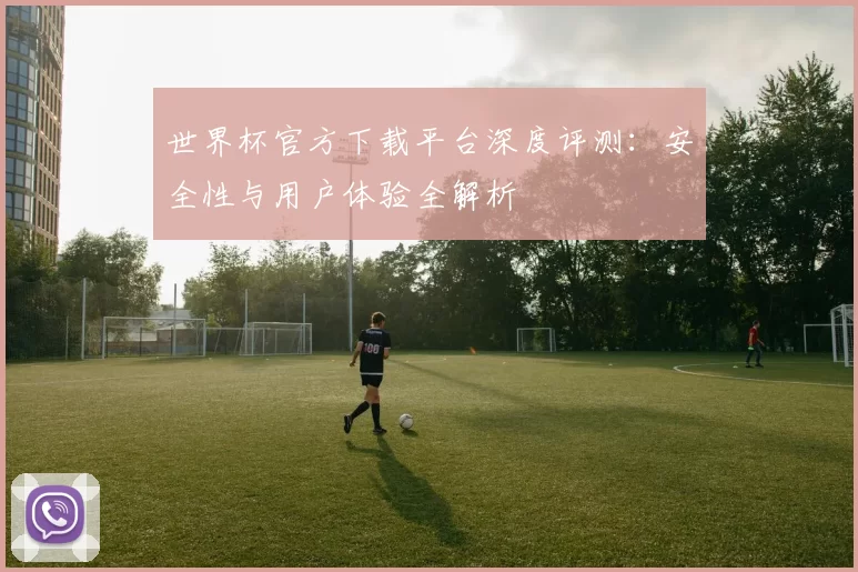 世界杯官方下载平台深度评测:安全性与用户体验全解析