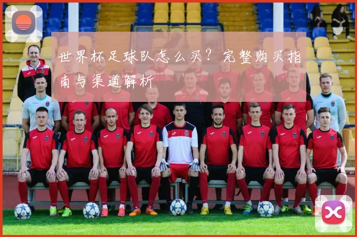 世界杯足球队怎么买?完整购买指南与渠道解析