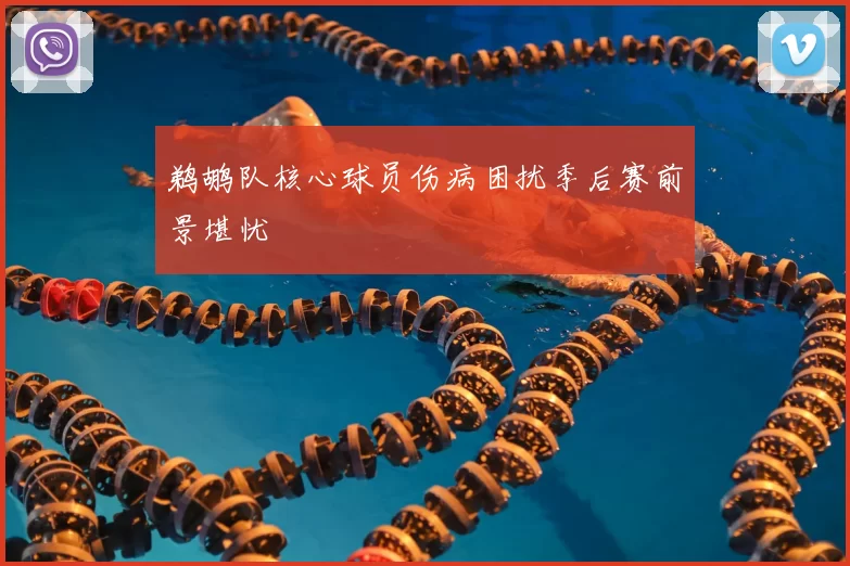 鹈鹕队核心球员伤病困扰季后赛前景堪忧