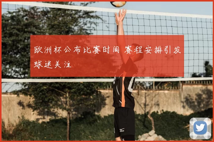 欧洲杯公布比赛时间 赛程安排引发球迷关注