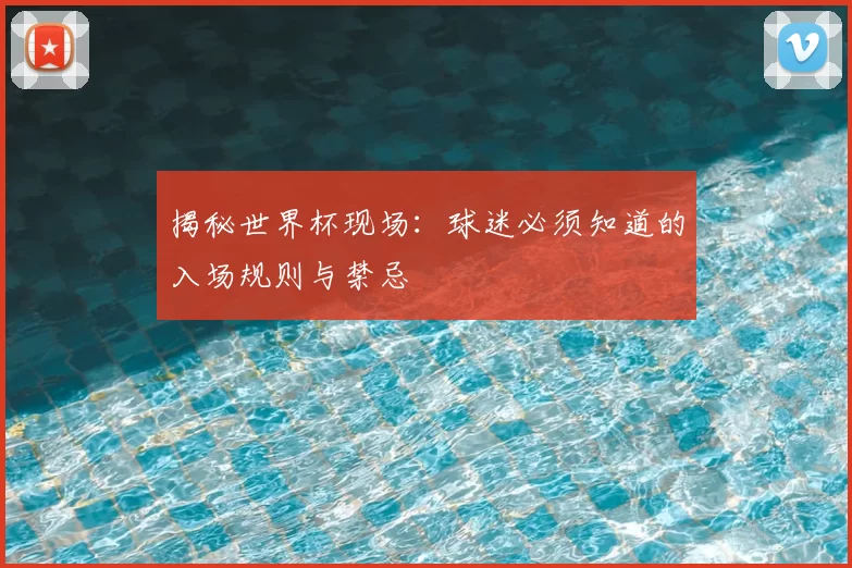 揭秘世界杯现场:球迷必须知道的入场规则与禁忌
