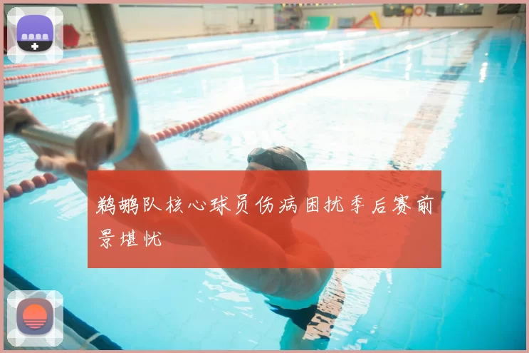 鹈鹕队核心球员伤病困扰季后赛前景堪忧