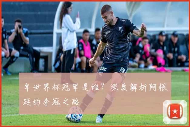 年世界杯冠军是谁?深度解析阿根廷的夺冠之路