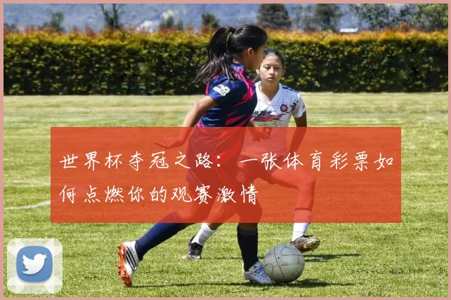世界杯夺冠之路:一张体育彩票如何点燃你的观赛激情