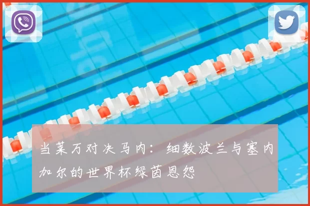 当莱万对决马内:细数波兰与塞内加尔的世界杯绿茵恩怨