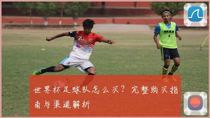 世界杯足球队怎么买?完整购买指南与渠道解析