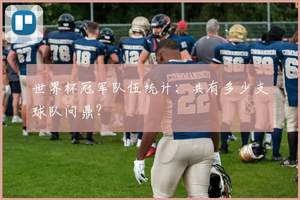 世界杯冠军队伍统计:共有多少支球队问鼎?